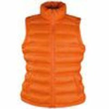 Women's Ice Bird Padded Gilet